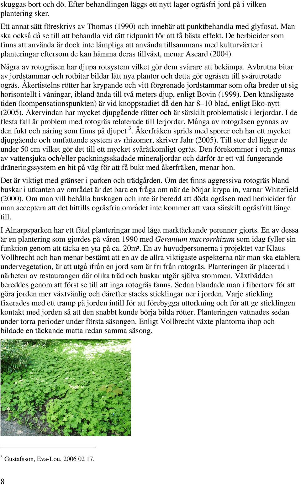 De herbicider som finns att använda är dock inte lämpliga att använda tillsammans med kulturväxter i planteringar eftersom de kan hämma deras tillväxt, menar Ascard (2004).