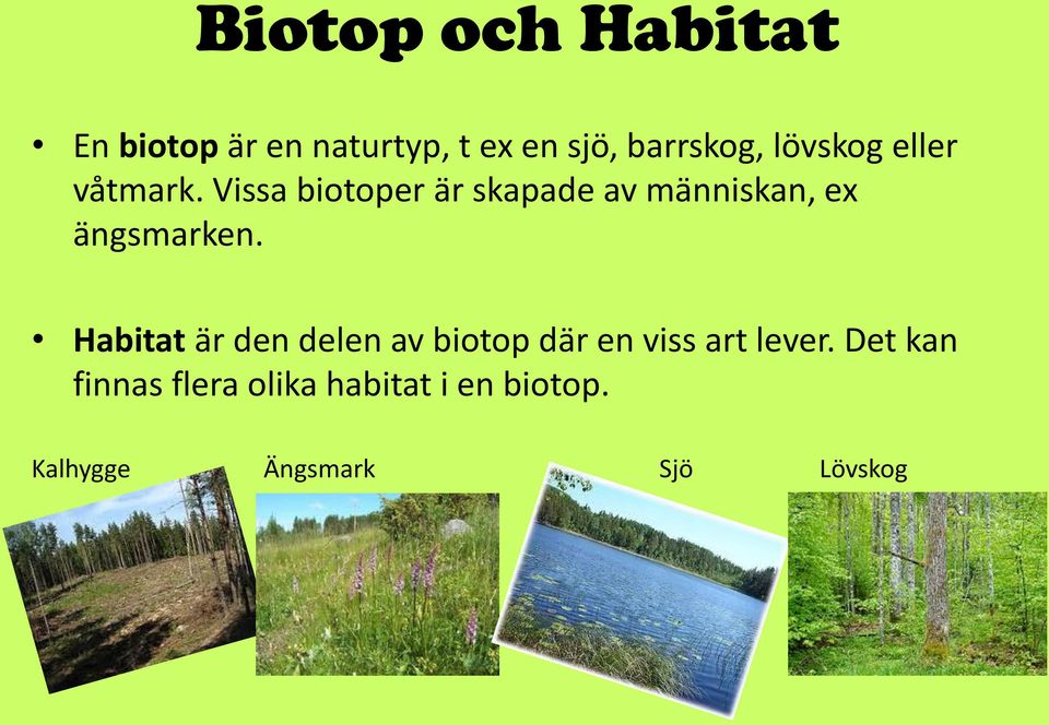 Vissa biotoper är skapade av människan, ex ängsmarken.