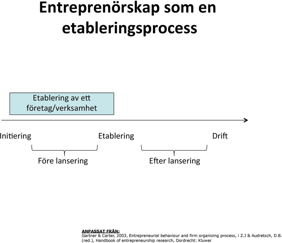 & Carter, 2003, Entrepreneurial behaviour and firm organizing process, i Z.
