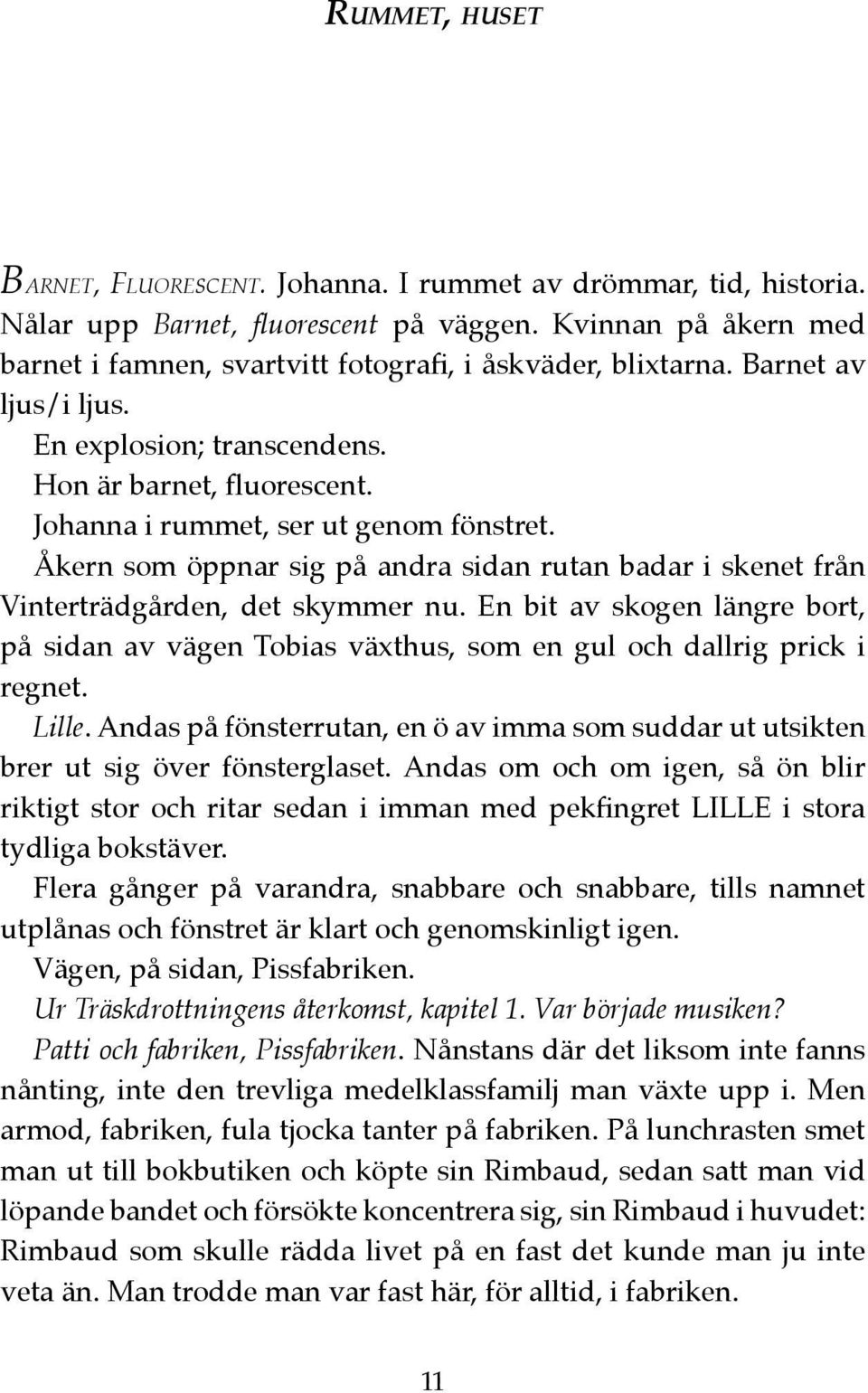 Johanna i rummet, ser ut genom fönstret. Åkern som öppnar sig på andra sidan rutan badar i skenet från Vinterträdgården, det skymmer nu.