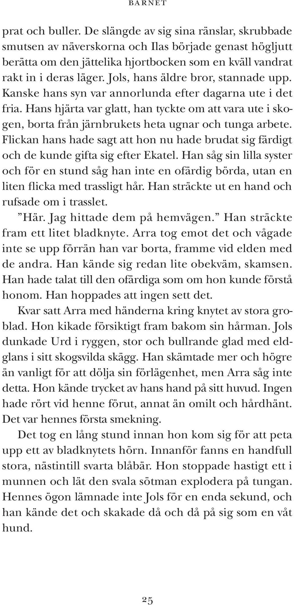 Jols, hans äldre bror, stannade upp. Kanske hans syn var annorlunda efter dagarna ute i det fria.