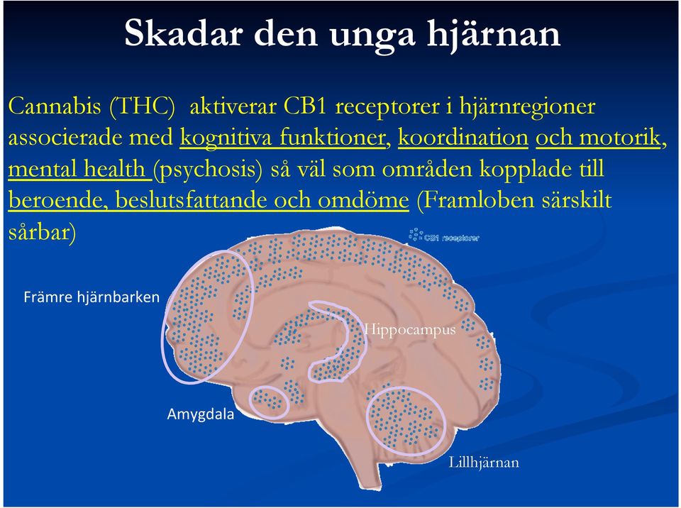 (psychosis) så väl som områden kopplade till beroende, beslutsfattande och