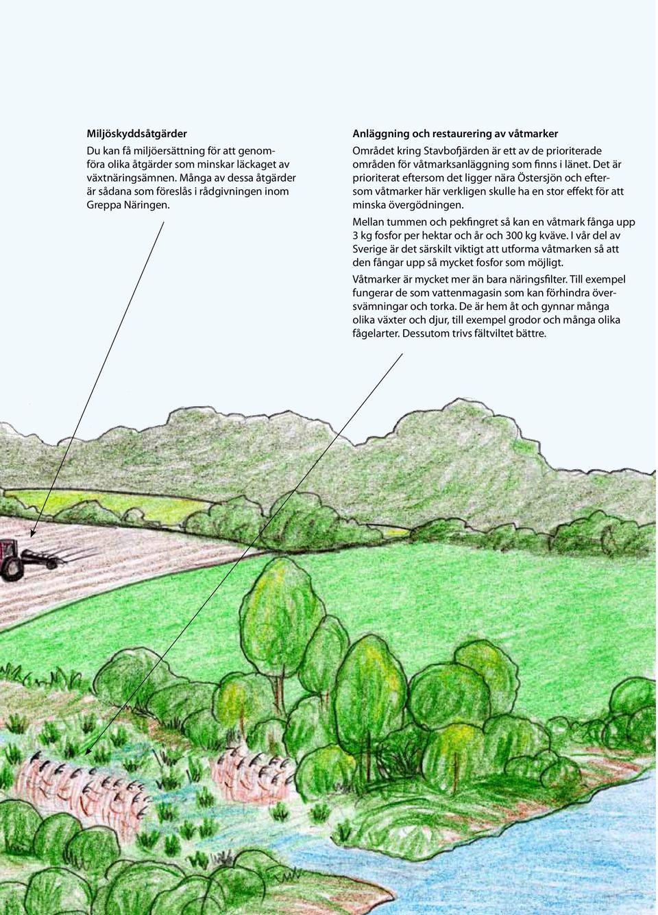 Anläggning och restaurering av våtmarker Området kring Stavbofjärden är ett av de prioriterade områden för våtmarksanläggning som finns i länet.