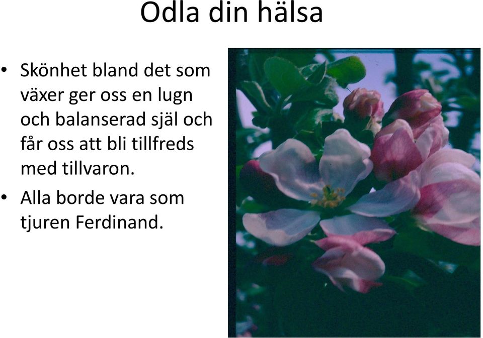 oss att bli tillfreds med tillvaron.