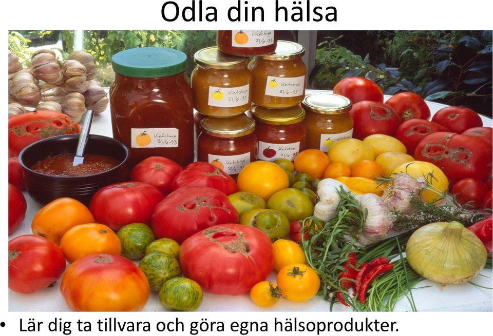 göra egna