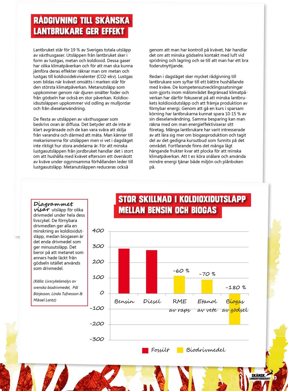 Lustgas som bildas när kvävet omsätts i marken står för den största klimatpåverkan. Metanutsläpp som uppkommer genom när djuren smälter foder och från gödseln har också en stor påverkan.