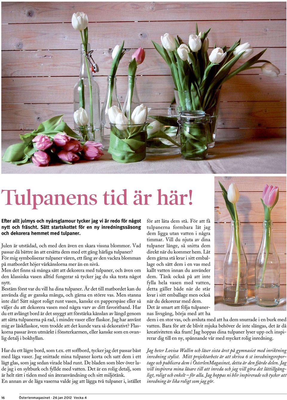 För mig symboliserar tulpaner våren, ett fång av den vackra blomman på matbordet höjer vårkänslorna mer än en nivå.