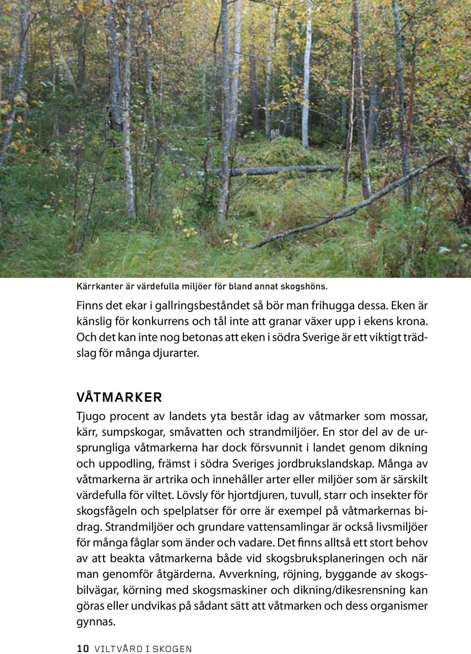 Våtmarker Tjugo procent av landets yta består idag av våtmarker som mossar, kärr, sumpskogar, småvatten och strandmiljöer.