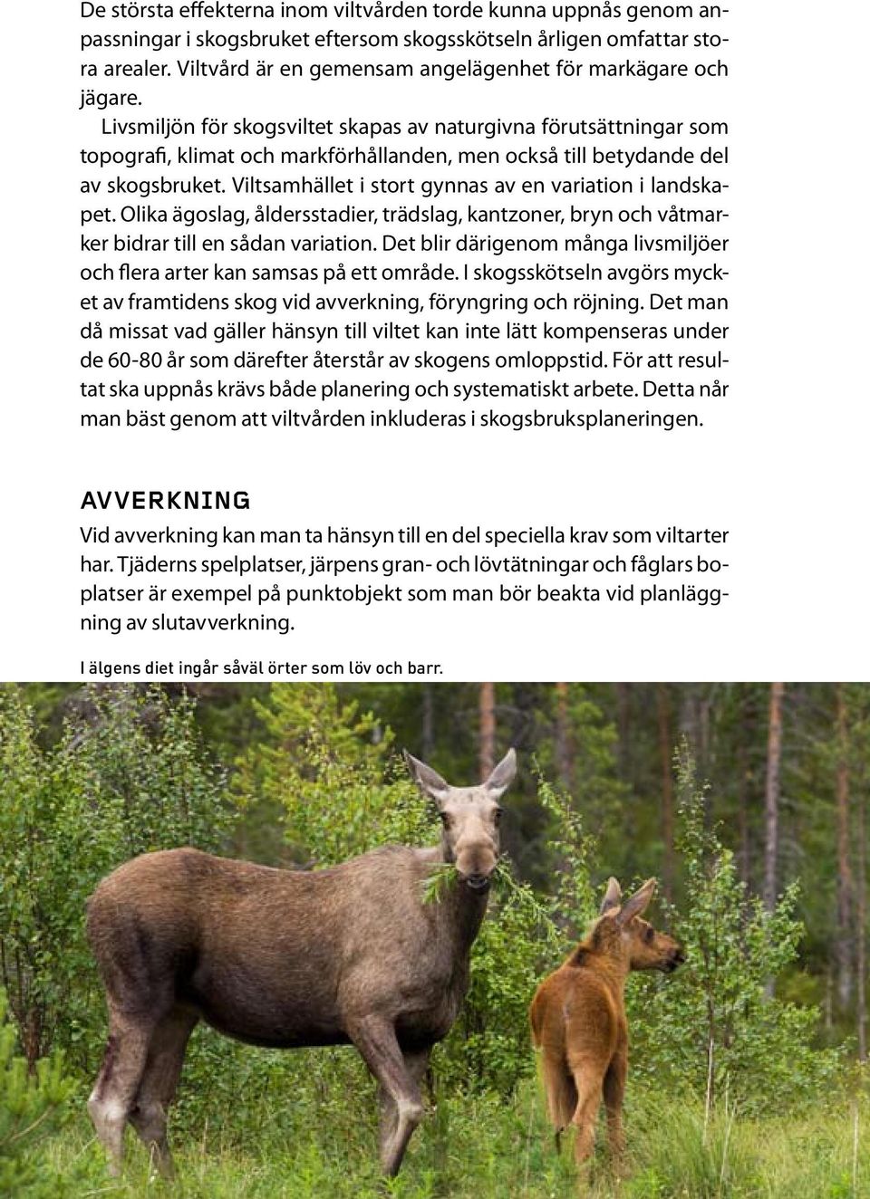 Livsmiljön för skogsviltet skapas av naturgivna förutsättningar som topografi, klimat och markförhållanden, men också till betydande del av skogsbruket.