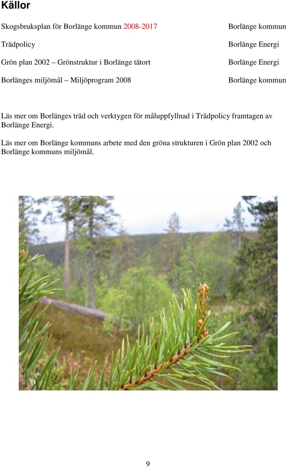 kommun Läs mer om Borlänges träd och verktygen för måluppfyllnad i Trädpolicy framtagen av Borlänge