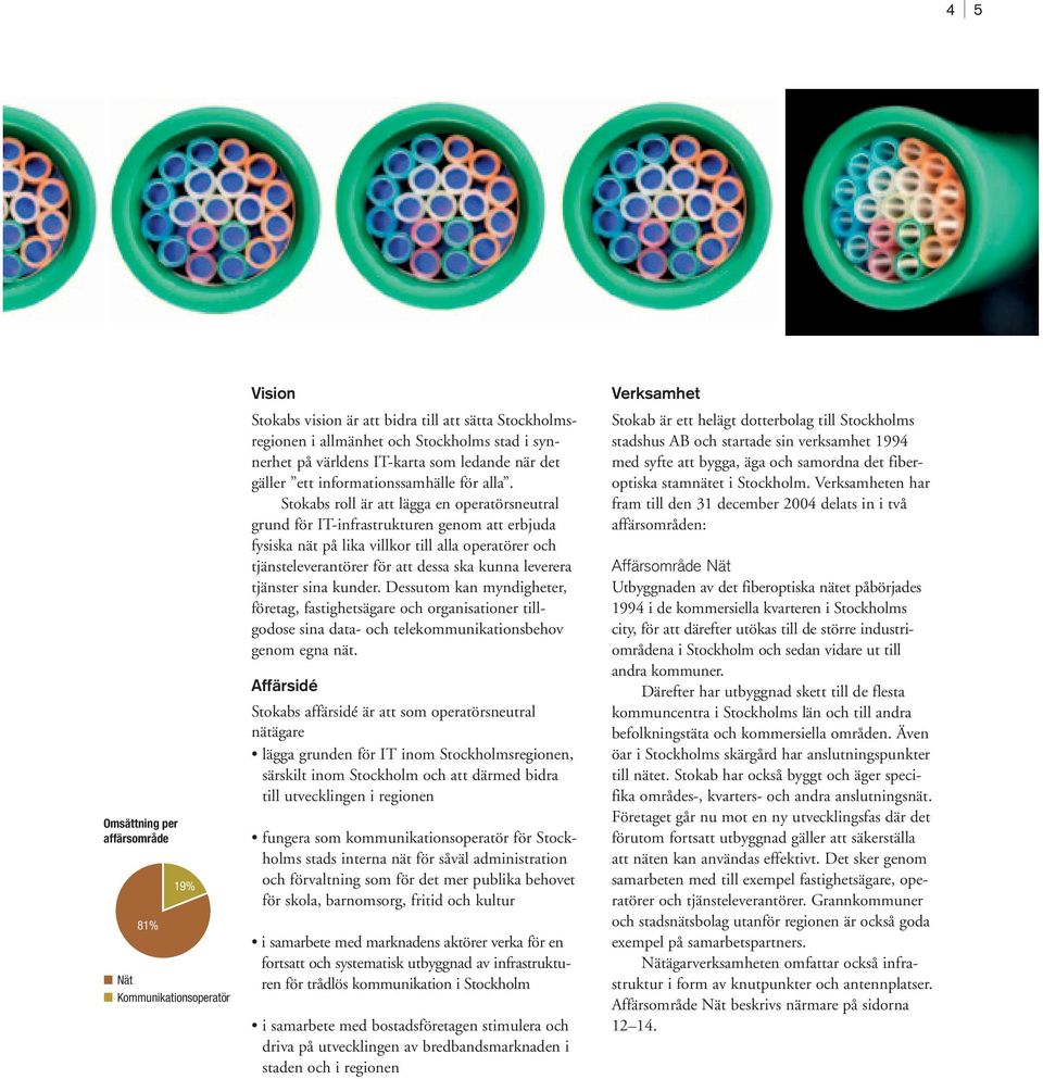 Stokabs roll är att lägga en operatörsneutral grund för IT-infrastrukturen genom att erbjuda fysiska nät på lika villkor till alla operatörer och tjänsteleverantörer för att dessa ska kunna leverera