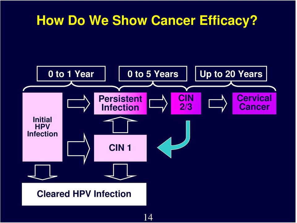 Initial HPV Infection Persistent Infection