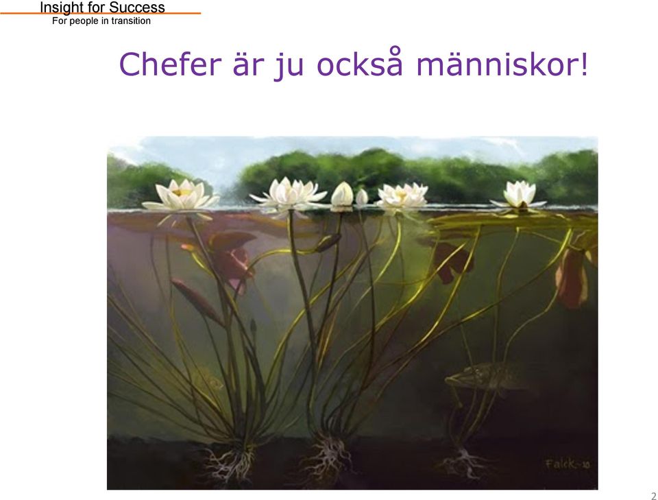 människor!