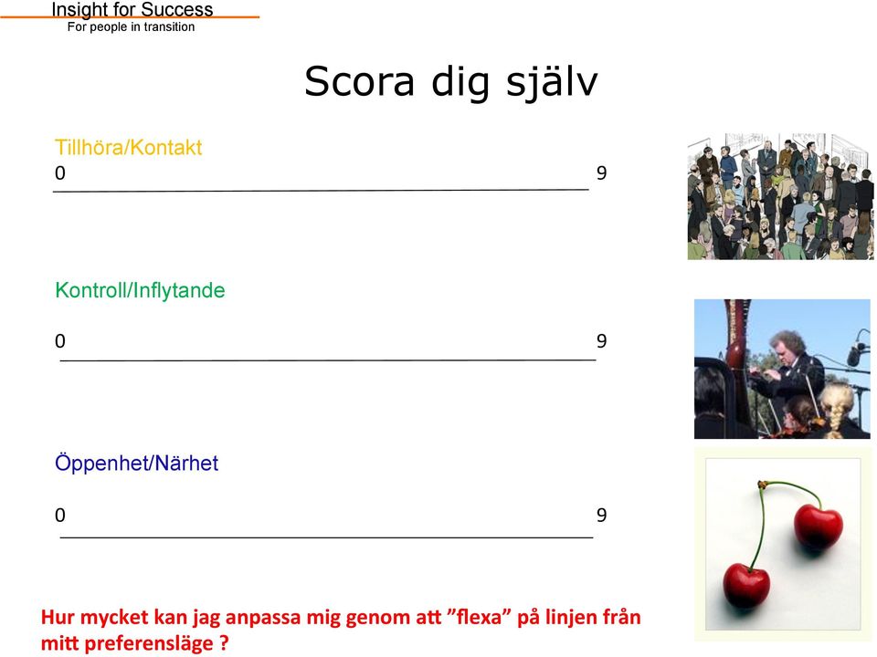 0 9 Hur mycket kan jag anpassa mig