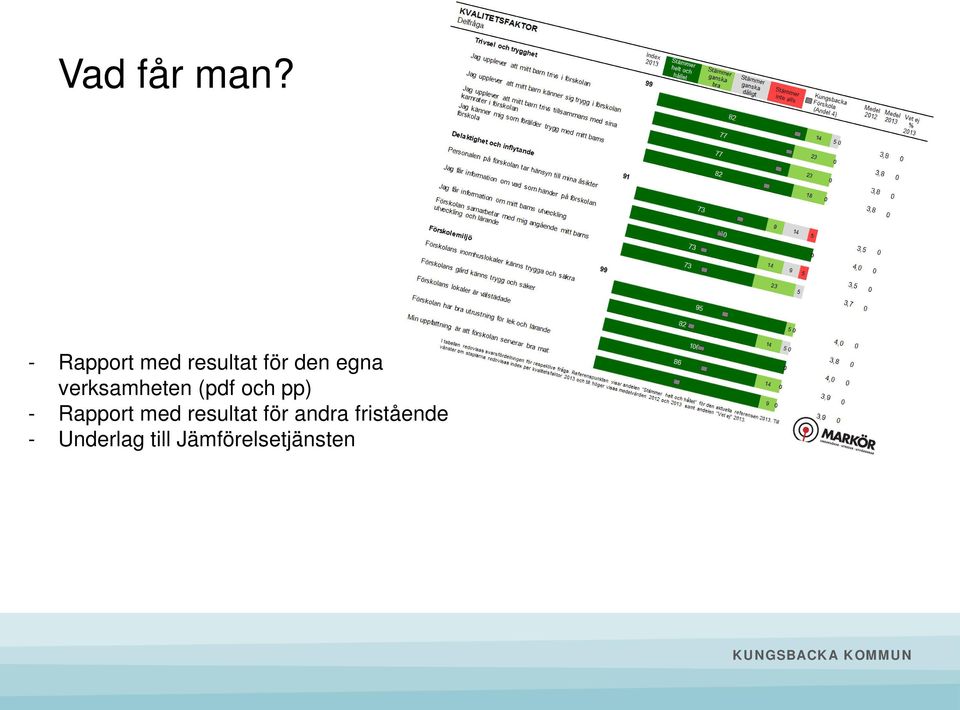 verksamheten (pdf och pp) - Rapport