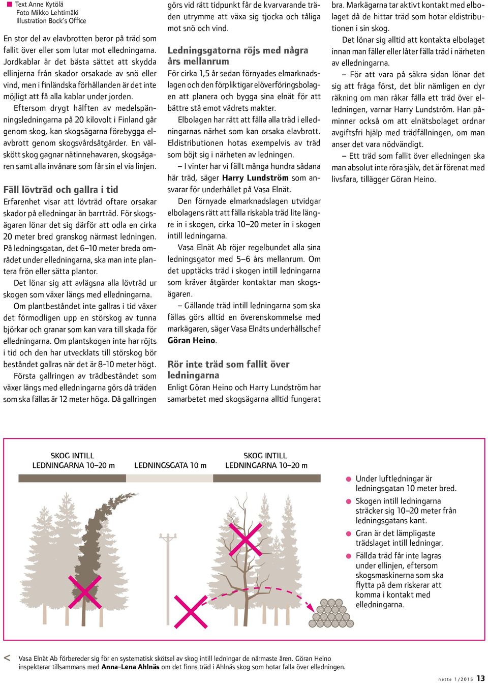 Eftersom drygt hälften av medelspänningsledningarna på 20 kilovolt i Finland går genom skog, kan skogsägarna förebygga elavbrott genom skogsvårdsåtgärder.