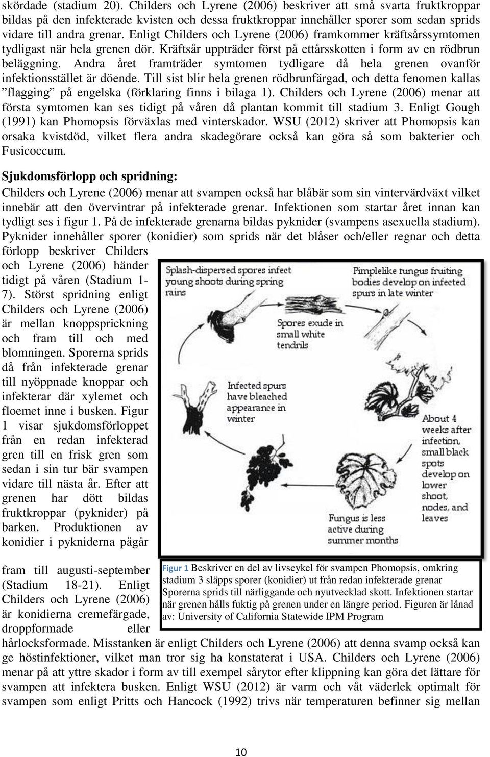 Enligt Childers och Lyrene (2006) framkommer kräftsårssymtomen tydligast när hela grenen dör. Kräftsår uppträder först på ettårsskotten i form av en rödbrun beläggning.