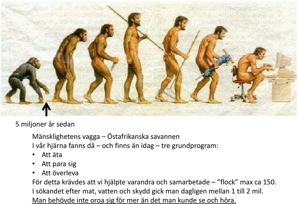 hjälpte varandra och samarbetade flock max ca 150.