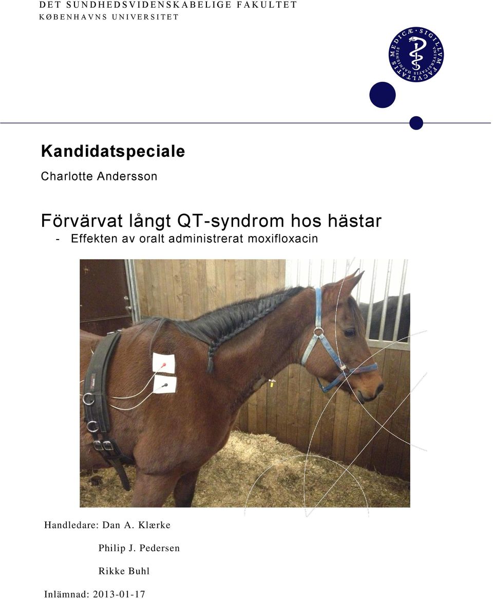 Förvärvat långt QT-syndrom hos hästar - Effekten av oralt administrerat