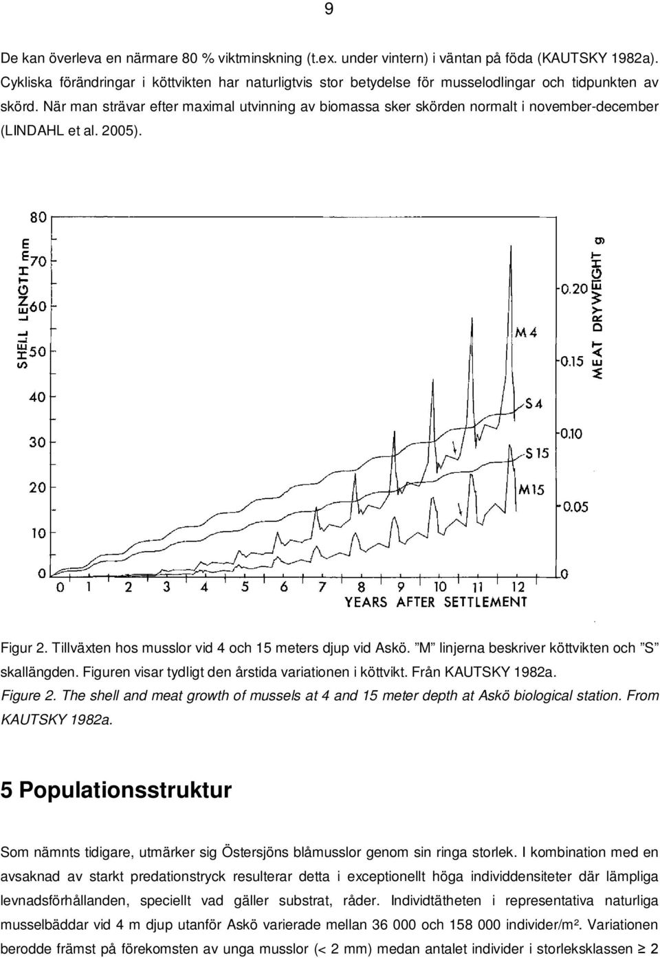 När man strävar efter maximal utvinning av biomassa sker skörden normalt i november-december (LINDAHL et al. 2005). Figur 2. Tillväxten hos musslor vid 4 och 15 meters djup vid Askö.