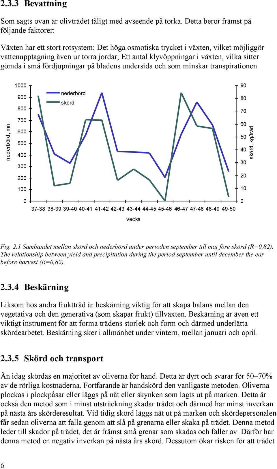 vilka sitter gömda i små fördjupningar på bladens undersida och som minskar transpirationen.