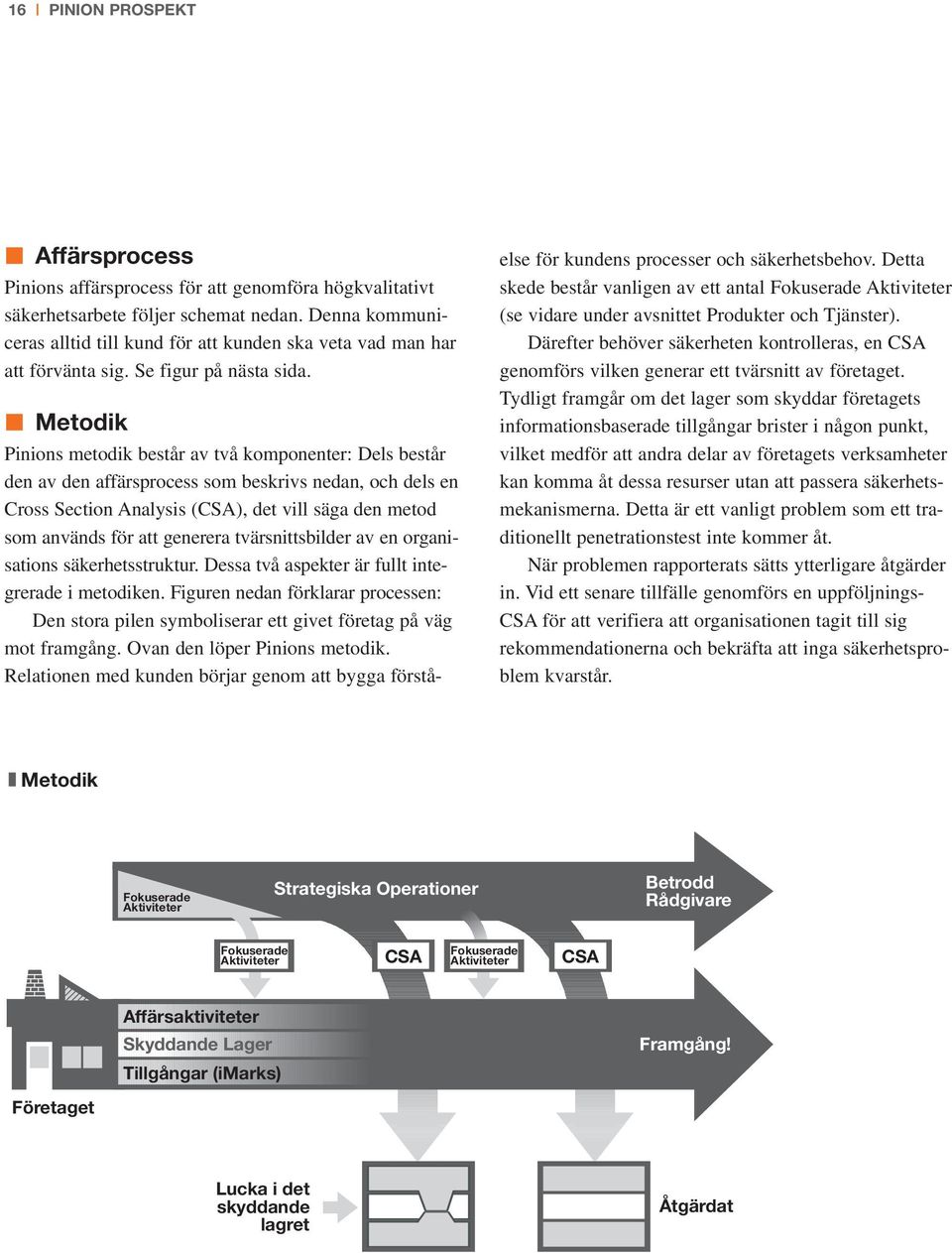 Metodik Pinions metodik består av två komponenter: Dels består den av den affärsprocess som beskrivs nedan, och dels en Cross Section Analysis (CSA), det vill säga den metod som används för att