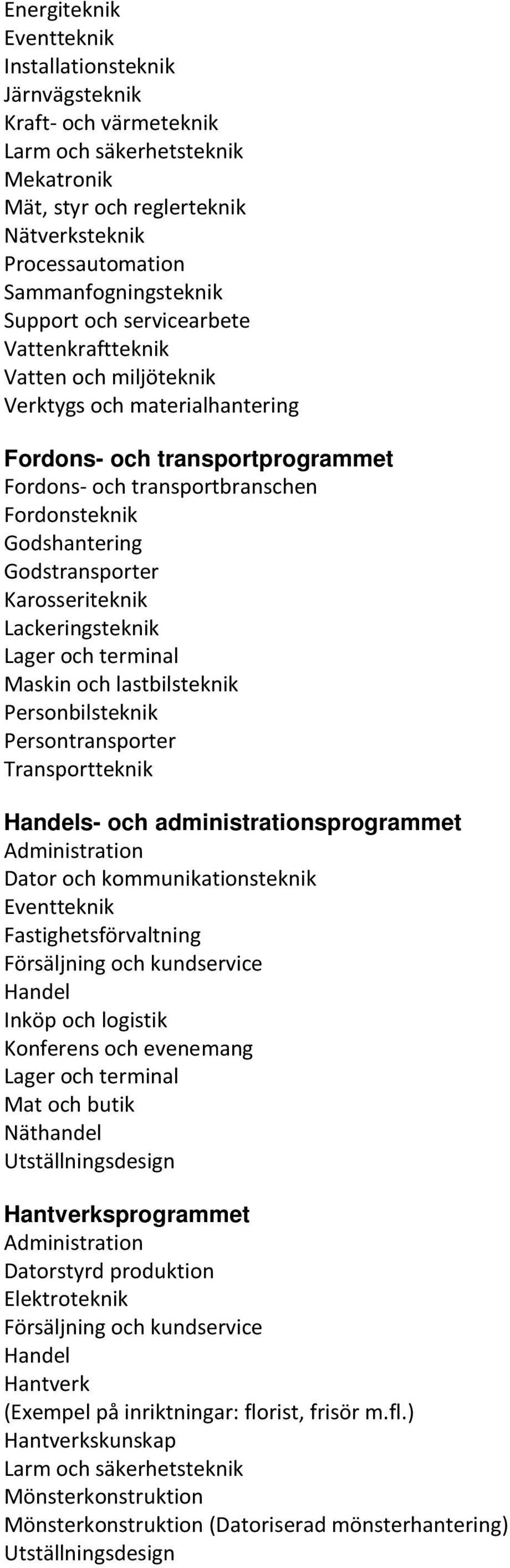 Godstransporter Karosseriteknik Lackeringsteknik Lager och terminal Maskin och lastbilsteknik Personbilsteknik Persontransporter Transportteknik Handels- och administrationsprogrammet Administration