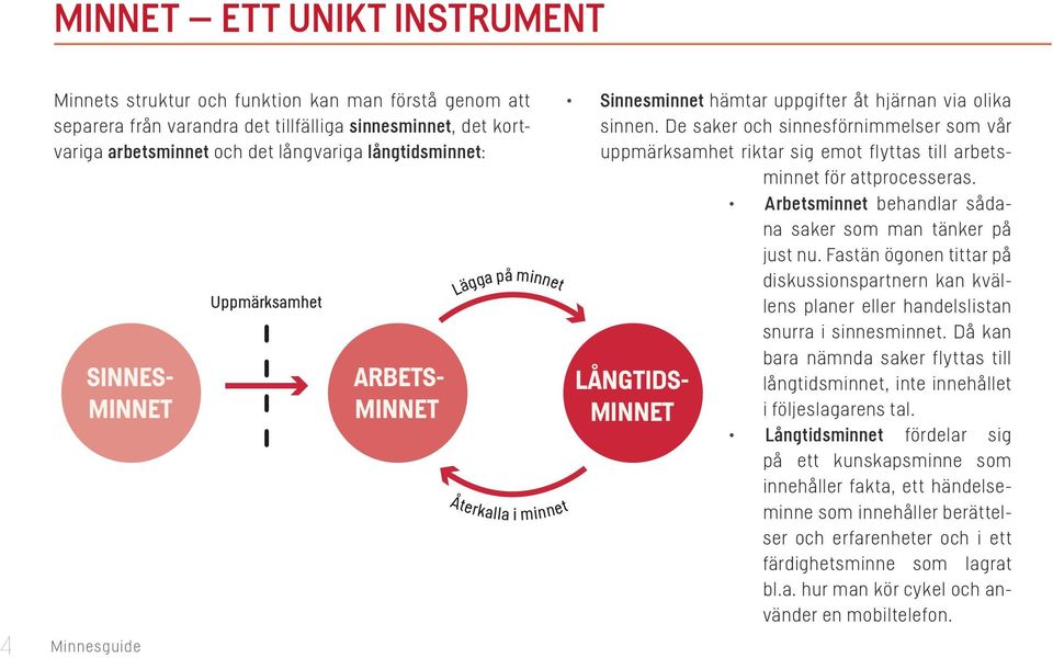 De saker och sinnesförnimmelser som vår uppmärksamhet riktar sig emot flyttas till arbetsminnet för attprocesseras. LÅNGTIDS- MINNET Arbetsminnet behandlar sådana saker som man tänker på just nu.