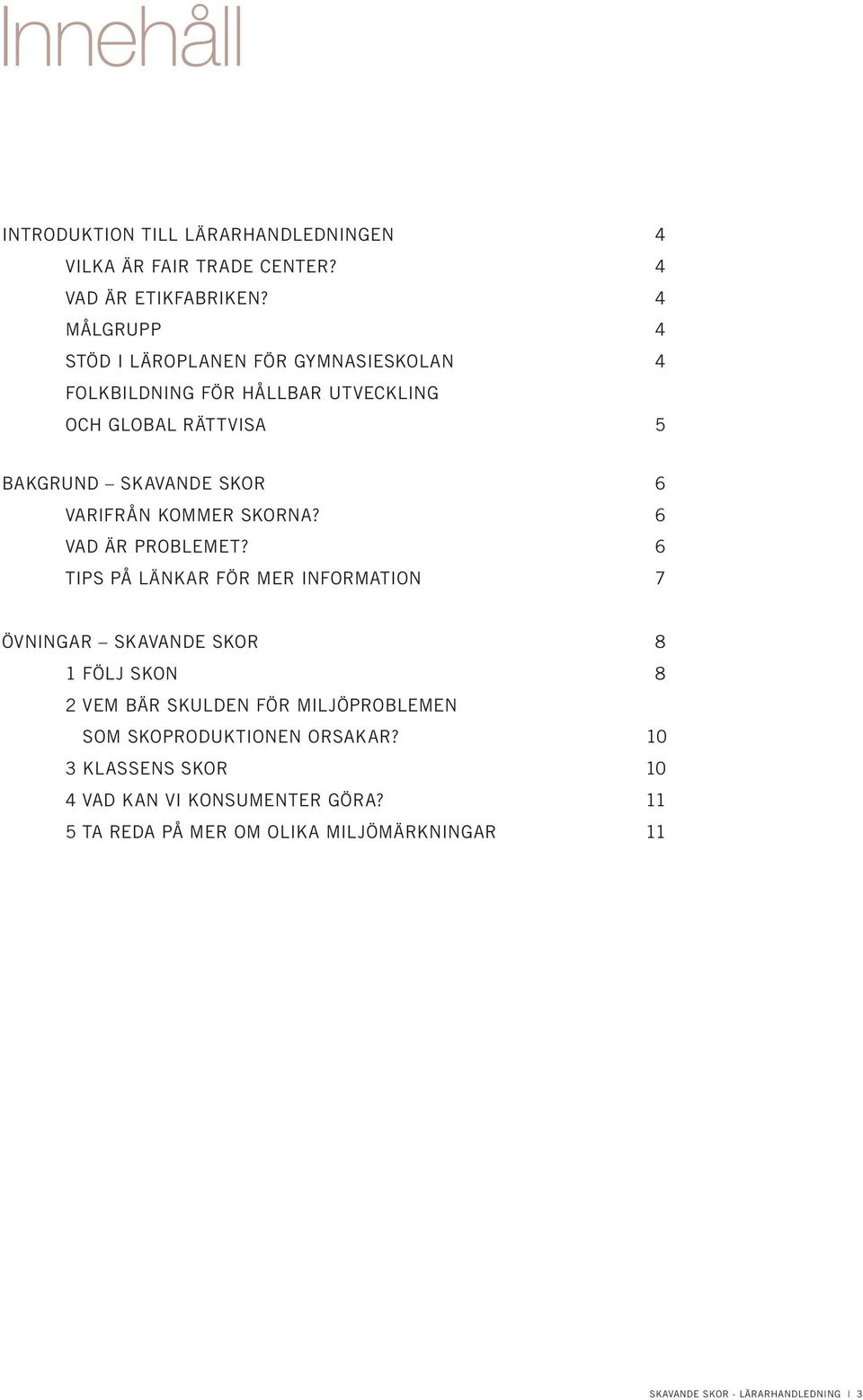 VARIFRÅN KOMMER SKORNA? 6 VAD ÄR PROBLEMET?