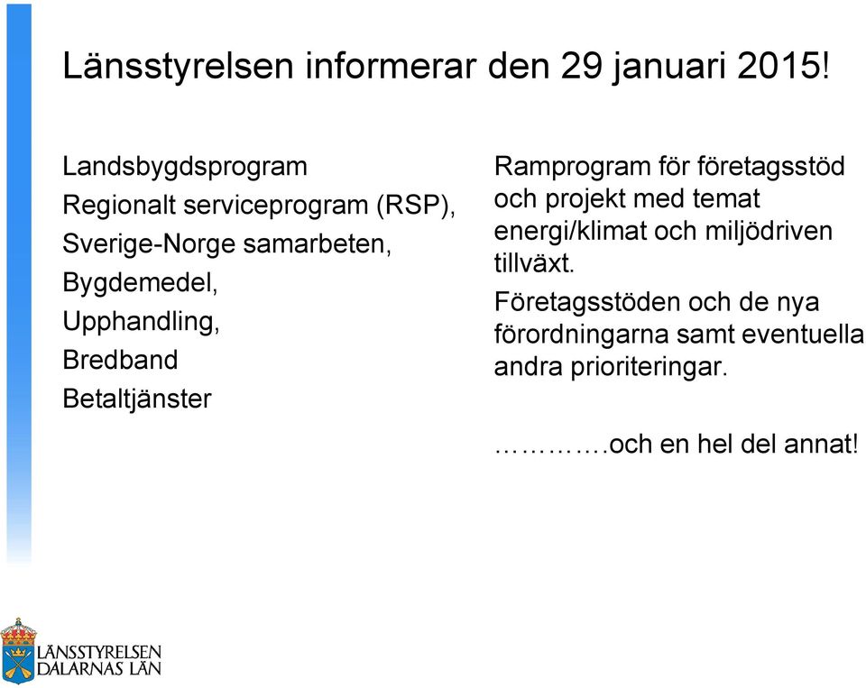 Upphandling, Bredband Betaltjänster Ramprogram för företagsstöd och projekt med temat