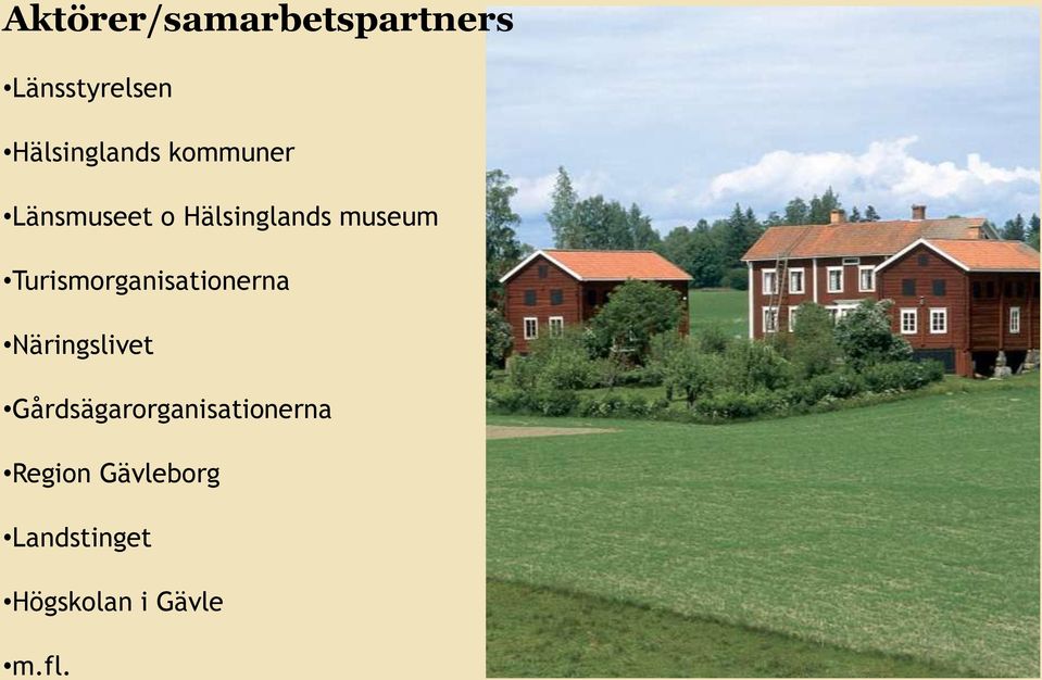 Turismorganisationerna Näringslivet