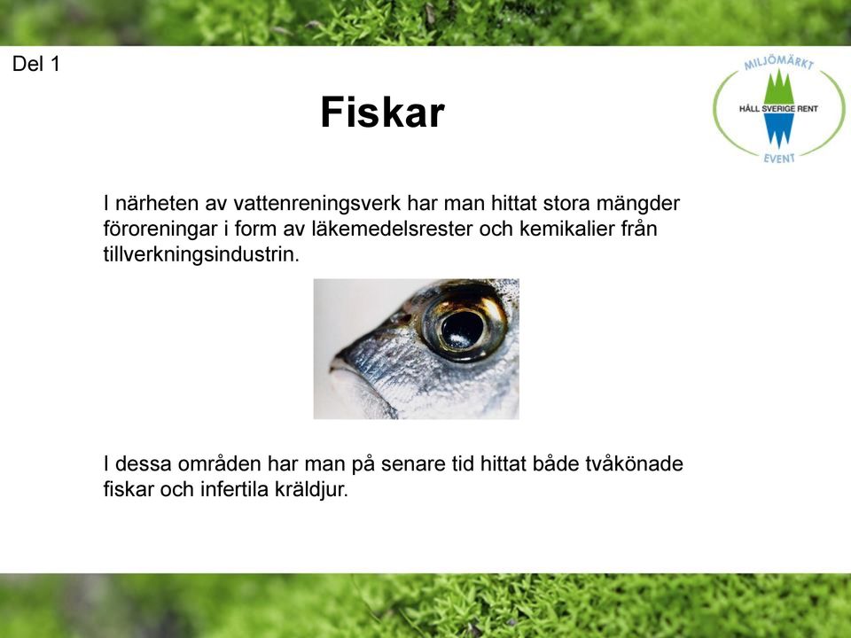 kemikalier från tillverkningsindustrin.