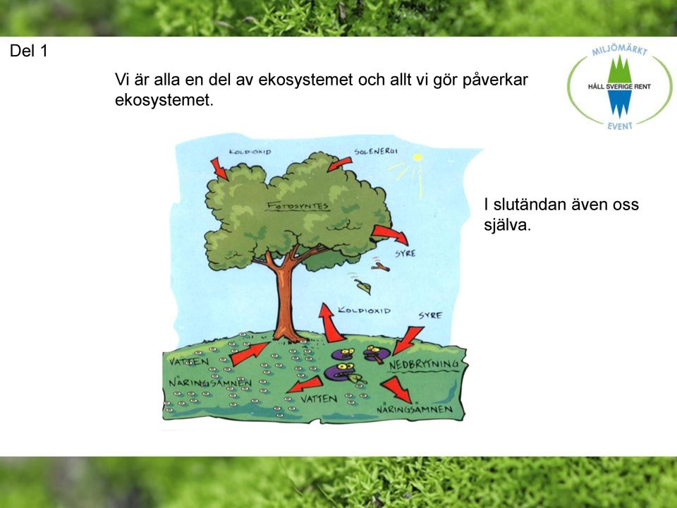 gör påverkar ekosystemet.