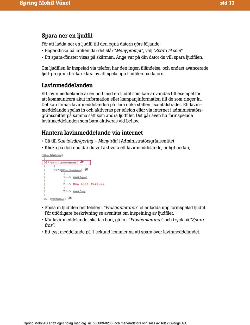 Om ljudfilen är inspelad via telefon har den ingen filändelse, och endast avancerade ljud-program brukar klara av att spela upp ljudfilen på datorn.