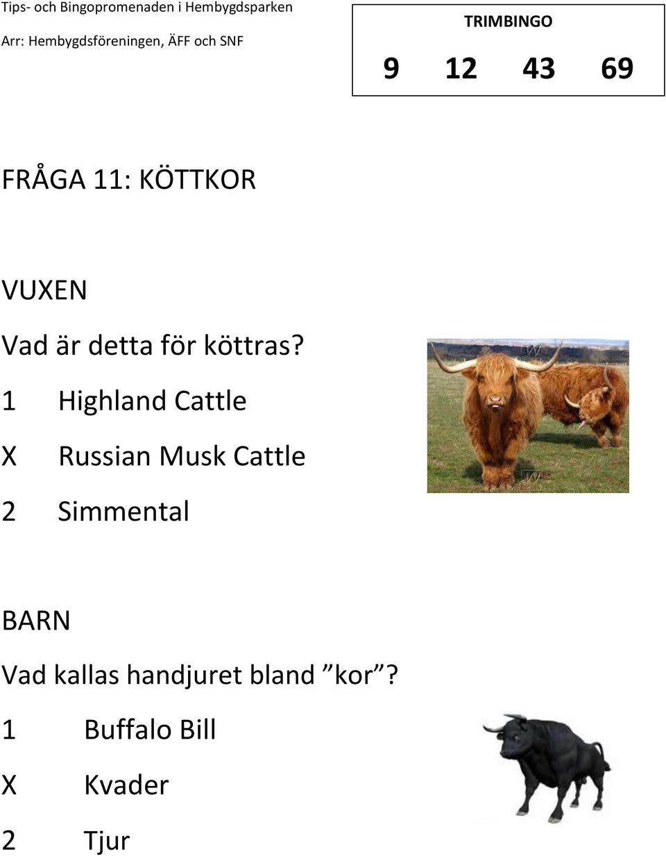 1 Highland Cattle Russian Musk Cattle 2