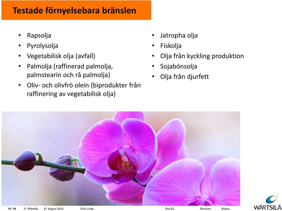 olein (biprodukter från raffinering av vegetabilisk olja) Jatropha olja