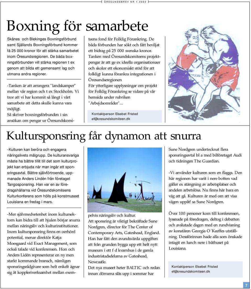 Vi tror att vi har kommit så långt i vårt samarbete att detta skulle kunna vara möjligt. Så skriver boxningsförbunden i sin ansökan om pengar ur Öresundskomiteens fond för Folklig Förankring.