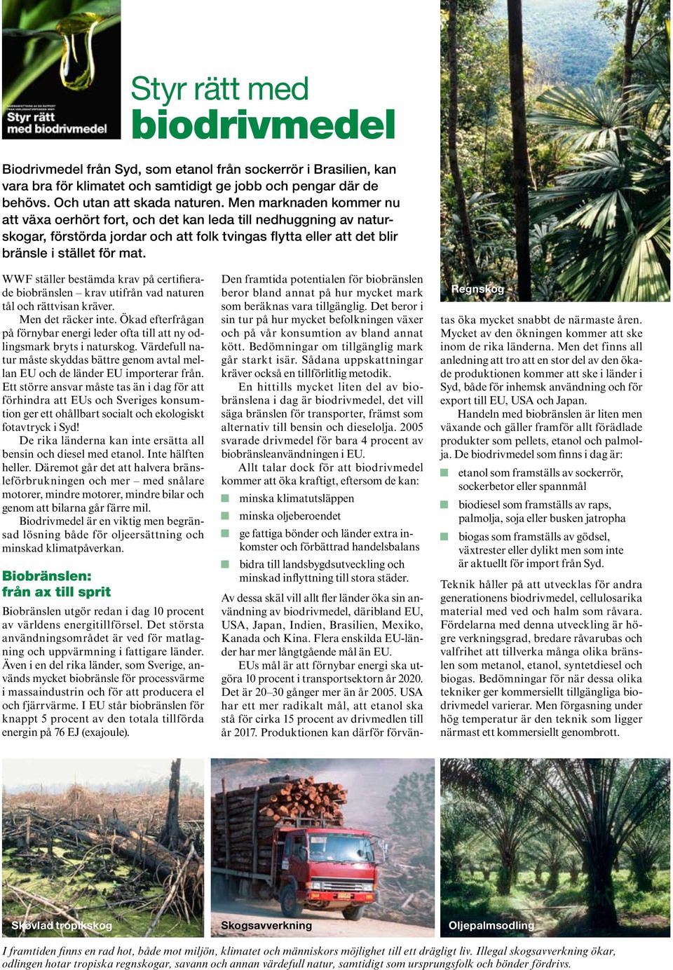 WWF ställer bestämda krav på certifierade biobränslen krav utifrån vad naturen tål och rättvisan kräver. Men det räcker inte.
