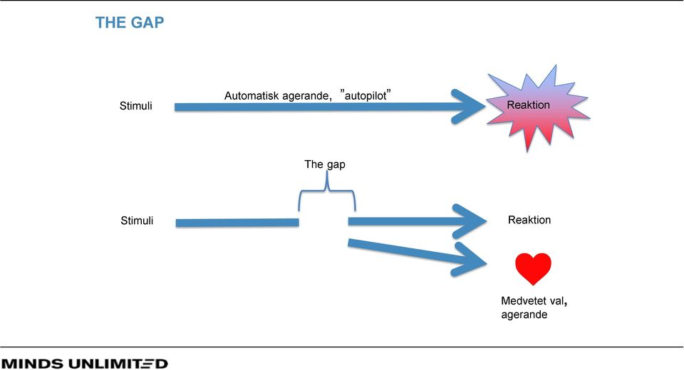 autopilot Reaktion The