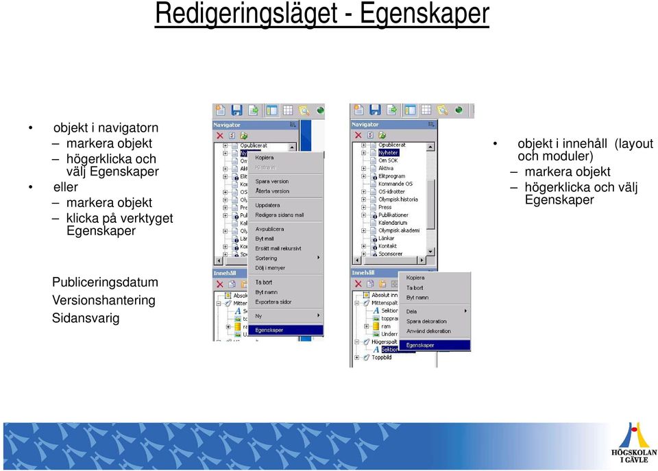 verktyget Egenskaper objekt i innehåll (layout och moduler) markera