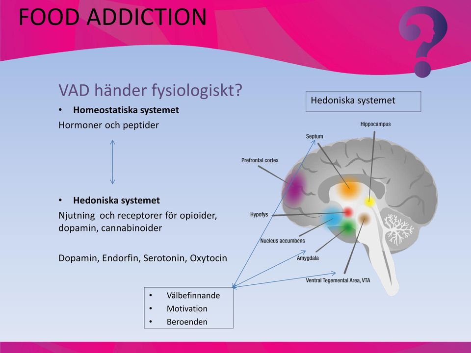 systemet Hedoniska systemet Njutning och receptorer för