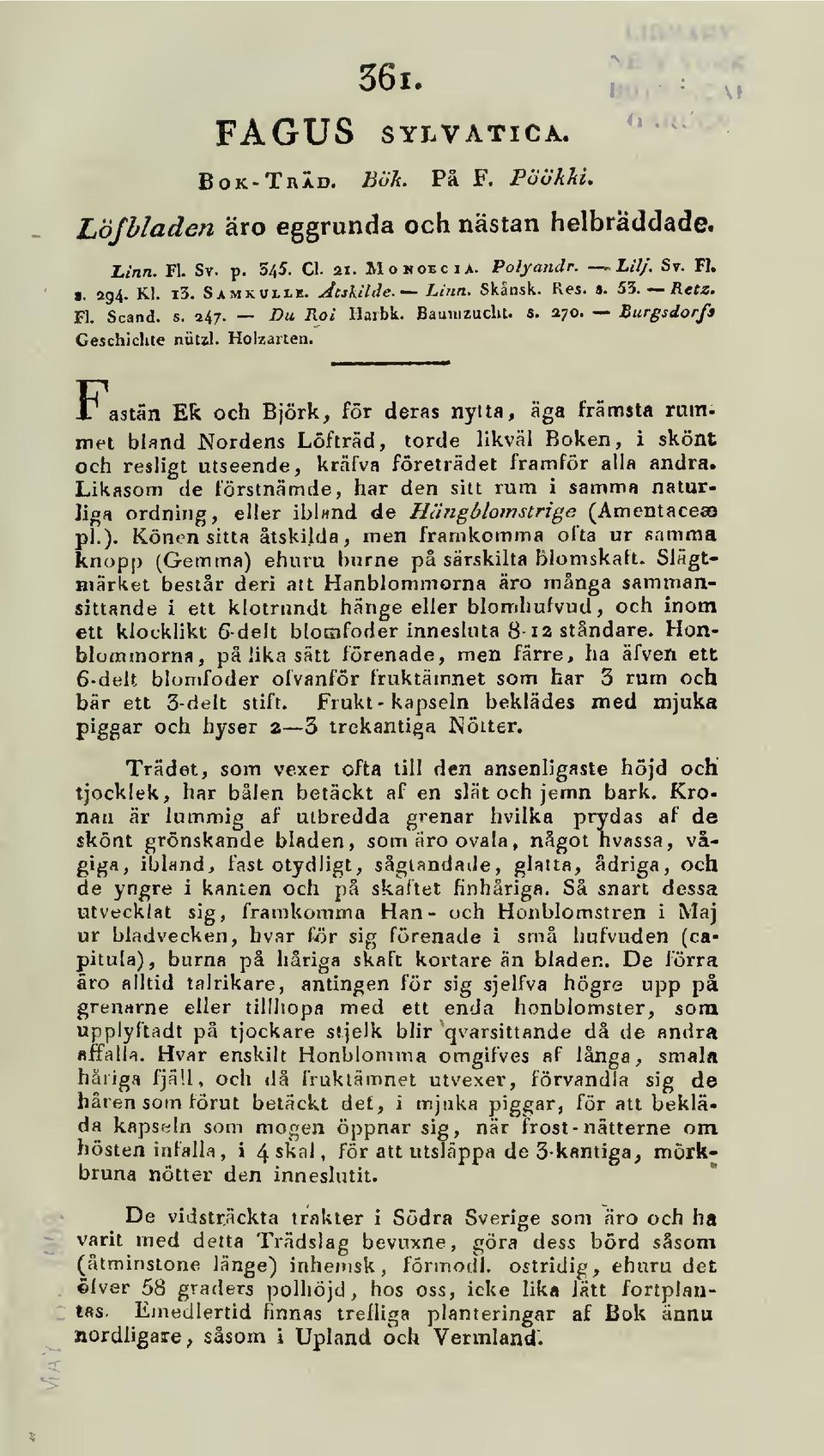 >v Fastän Ek och Björk, för deras nytta, aga främsta rummet bland Nordens Löfträd, torde likväl Boken, i skönt och resligt utseende, krälva företrädet framför alla andra.