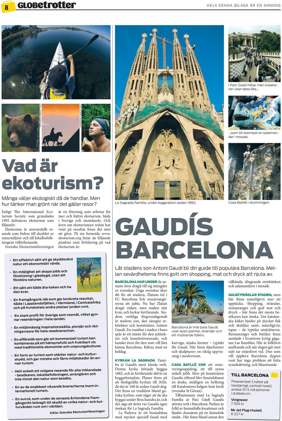 Enligt The International Ecoturism Society som grundades 1992 definieras ekoturism som följande: Ekoturism är ansvarsfullt resande som bidrar till skyddet av naturmiljöer och till lokalbefolkningens