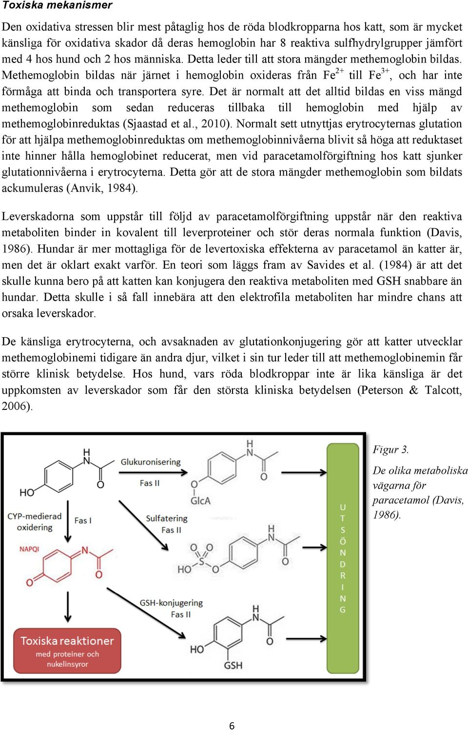 Methemoglobin bildas när järnet i hemoglobin oxideras från Fe 2+ till Fe 3+, och har inte förmåga att binda och transportera syre.