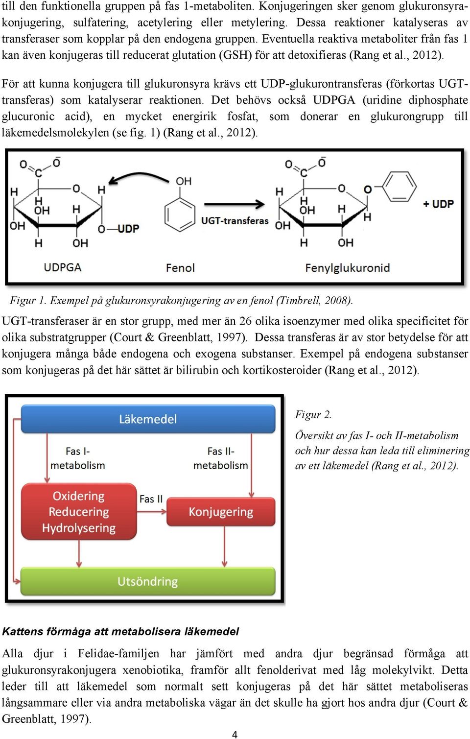 Eventuella reaktiva metaboliter från fas 1 kan även konjugeras till reducerat glutation (GSH) för att detoxifieras (Rang et al., 2012).