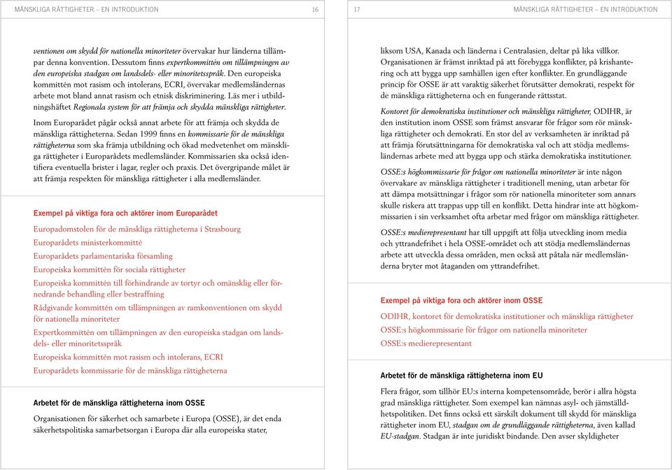 Den europeiska kommittén mot rasism och intolerans, ECRI, övervakar medlemsländernas arbete mot bland annat rasism och etnisk diskriminering.