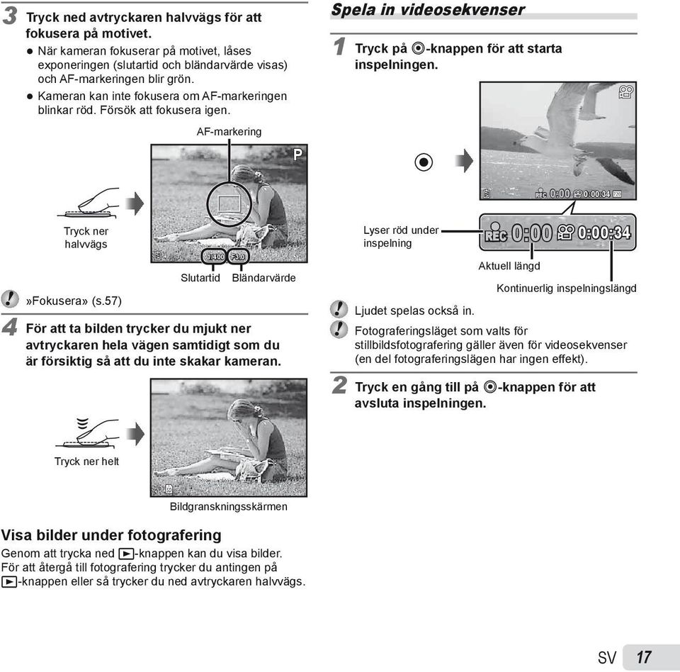AF-markering P REC 0:00 0:00:34 Tryck ner halvvägs 1/400 F3.0 Slutartid Bländarvärde»Fokusera» (s.