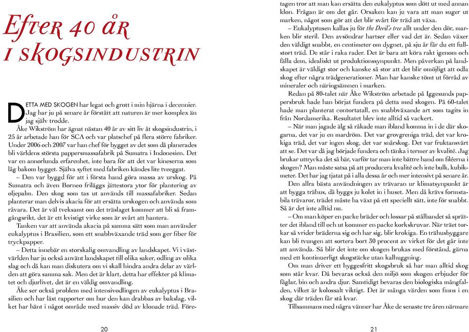 Under 2006 och 2007 var han chef för bygget av det som då planerades bli världens största pappersmassafabrik på Sumatra i Indonesien.