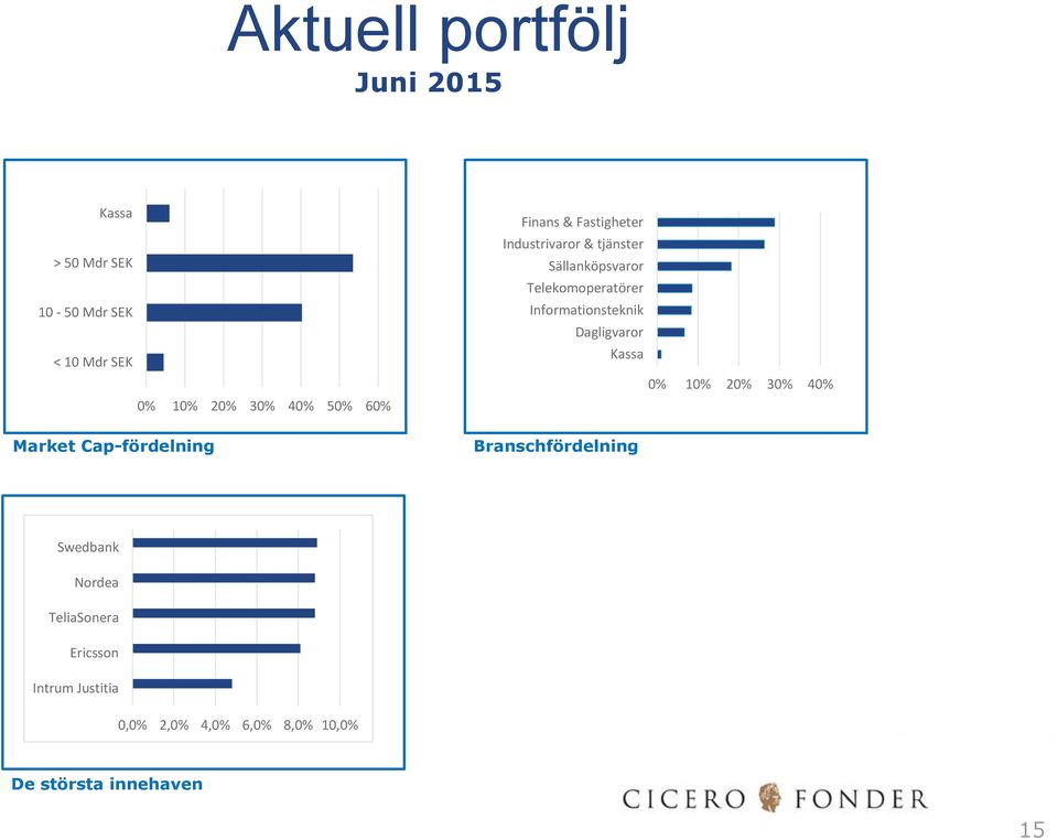 Telekomoperatörer Informationsteknik Dagligvaror Kassa 0% 10% 20% 30% 40% Branschfördelning