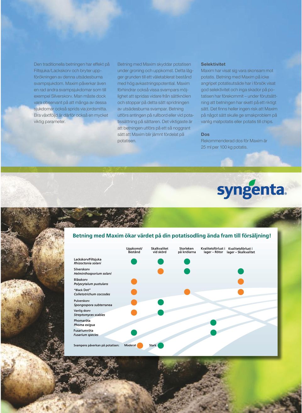 Bra växtföljd är därför också en mycket viktig parameter. Betning med Maxim skyddar potatisen under groning och uppkomst.